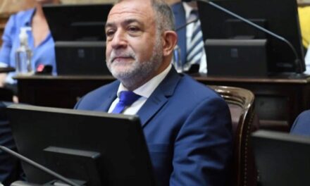 La defensa de Luiz Juez a Javier Milei: "Es extremadamente ingenuo"