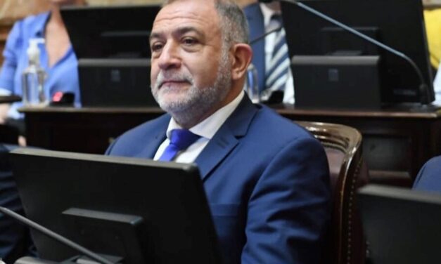 La defensa de Luiz Juez a Javier Milei: "Es extremadamente ingenuo"