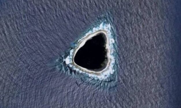 La verdad sobre la anomalía en el océano