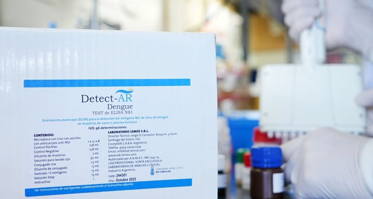 Dengue: expectativa por el desarrollo del test nacional para su detección  
