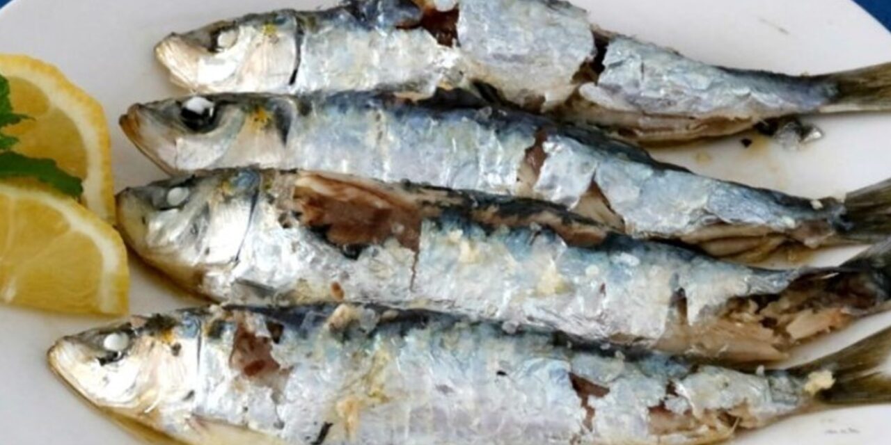 no es salmón ni atún