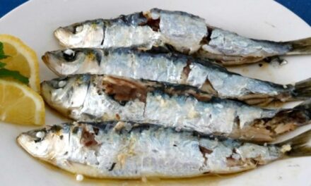 no es salmón ni atún