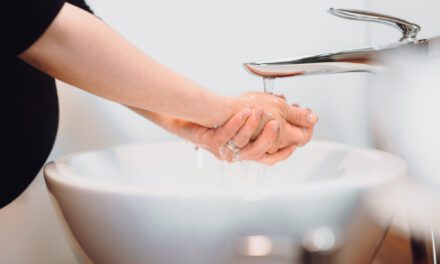 Entró en un restaurante para ir al baño y se robó el lavabo: «Nunca pasó algo así»