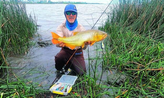 Río de la Plata: al vadeo siempre es mejor