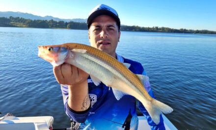 Córdoba: el pique del pejerrey en 8 embalses