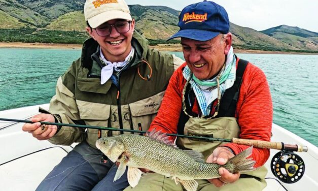 Truchas santacruceñas: de lago, criollas y de las otras