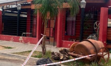 Causa Trinidad: va a juicio el dueño de los dogos que mataron a la joven