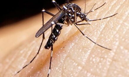 La Dra. Liliana Salvat analiza los riesgos y las estrategias de control en San Juan