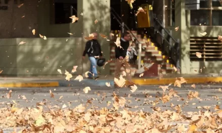 Intensas ráfagas de viento sur golpearán San Juan este domingo:  Pronostican vientos de hasta 100 km/h y un marcado descenso de temperatura