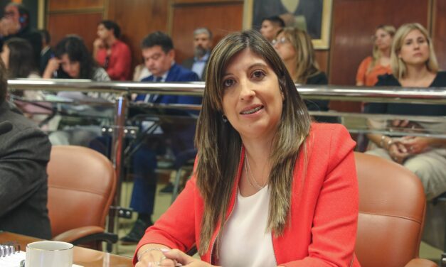 Sonia Ferreira y el debate sobre el subsidio para jubilados