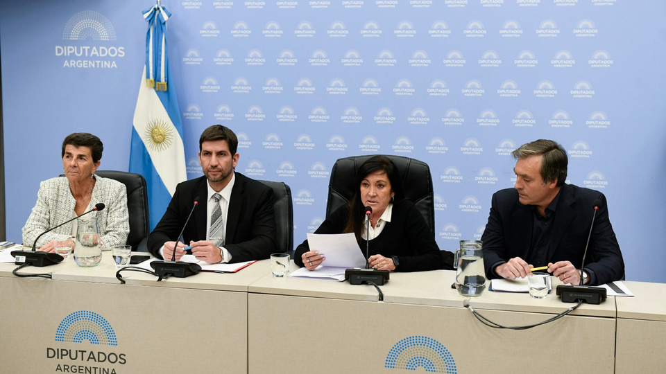 En sintonía con el pedido de Milei, LLA y el PRO apuran la baja en la edad de imputabilidad | El proyecto de Bullrich y Cúneo Libarona propone la baja a 13 años y con penas de hasta 20 para delitos graves