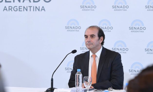 Quiénes son los clientes que tenía García-Mansilla antes de llegar a la Corte | Le dijo al Senado que solo eran catorce