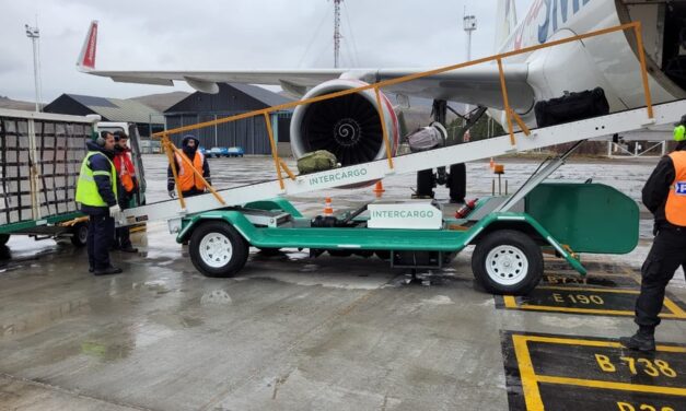 El Gobierno autorizó el procedimiento para la privatización total de Intercargo  | Por decreto