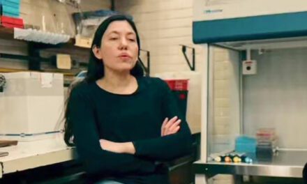 Atacaron la casa de una investigadora del CONICET que había discutido con militantes libertarios | Difundieron su domicilio en las redes sociales y, al menos, una persona entró y cortó el agua