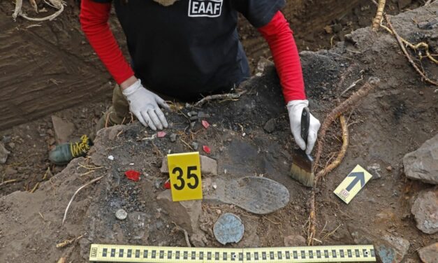 Memoria, verdad y justicia: los 40 años del Equipo Argentino de Antropología Forense en números | Se identificaron los restos de 838 víctimas del terrorismo de Estado
