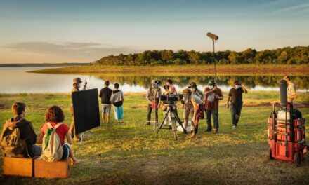 Misiones lanza el primer “cash rebate” para producciones audiovisuales del NEA | Polo estratégico de la industria