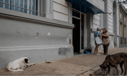 De San Pedro al mundo: cómo la estafa de «La China» llegó al New York Times y expuso la crisis argentina | Mención especial para el crpitoescándalo de $LIBRA