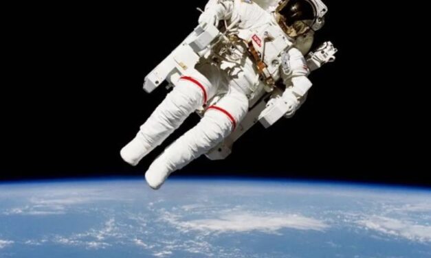 Un desarrollo acelerado lo explica