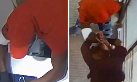 Se hizo pasar por un agente de la NBA, robó joyas millonarias y tuvo una absurda idea para ocultarlas