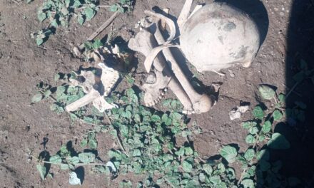 Hallazgo de restos óseos en Valle Fértil: investigación en curso