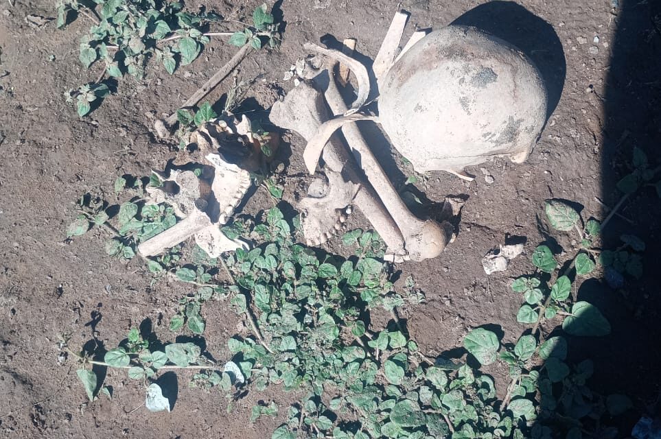 Hallazgo de restos óseos en Valle Fértil: investigación en curso