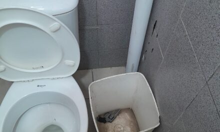 Hallaron un arma de fuego en los baños de la Galería del Sol