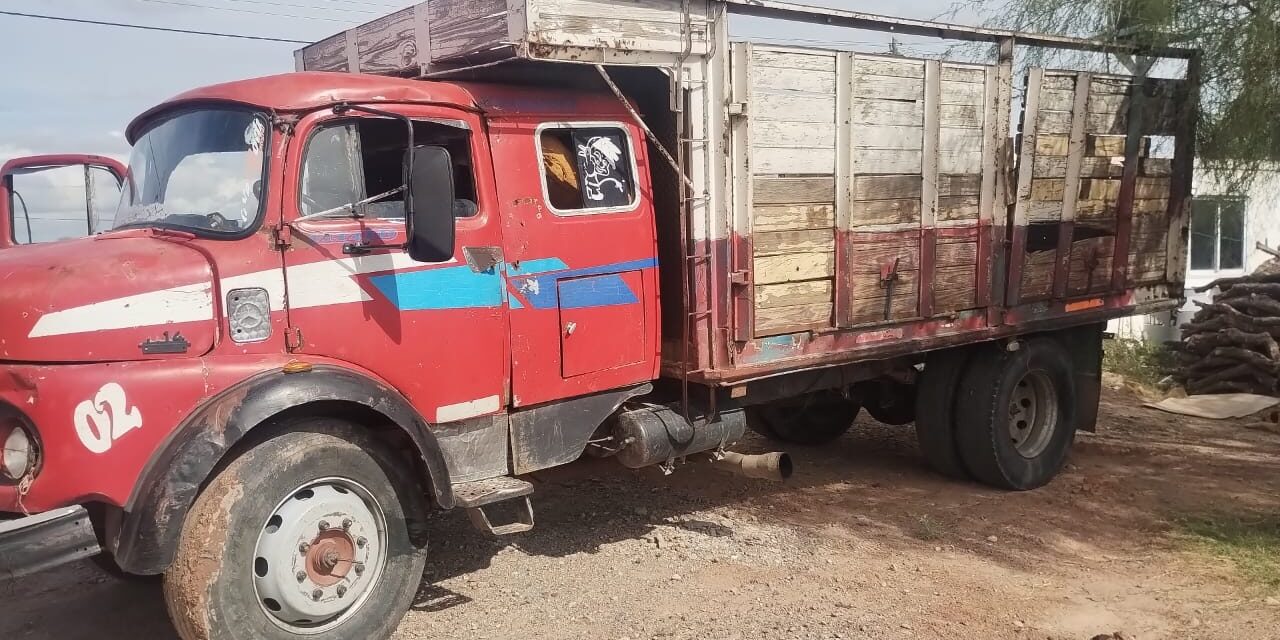 Detienen a un hombre por tala ilegal y secuestran un camión en Marayes