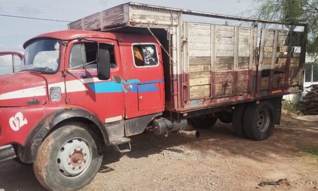Detienen a un hombre por tala ilegal y secuestran un camión en Marayes