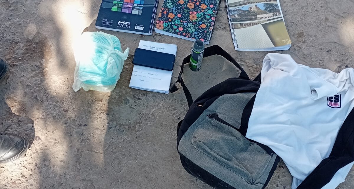 Cuatro detenidos tras un robo en chimbas