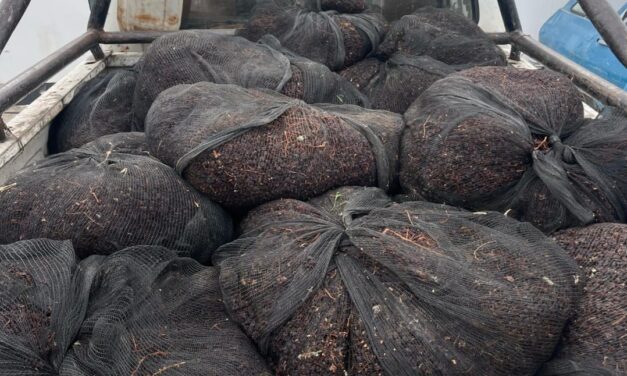 Detuvieron a ladrones de Pasas