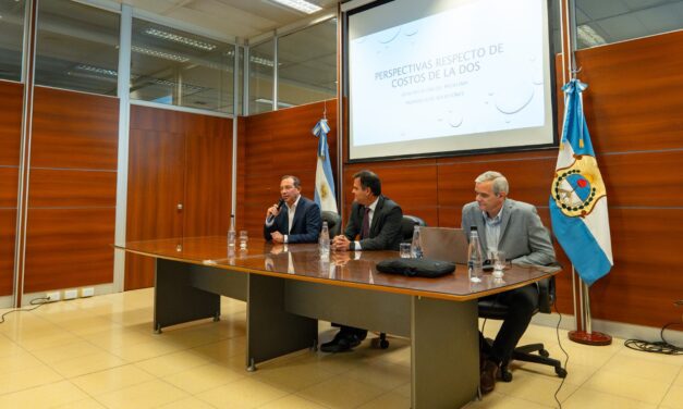 Amparo de salud: Una mirada desde el punto de vista médico.Administración de costos de salud en la OSP