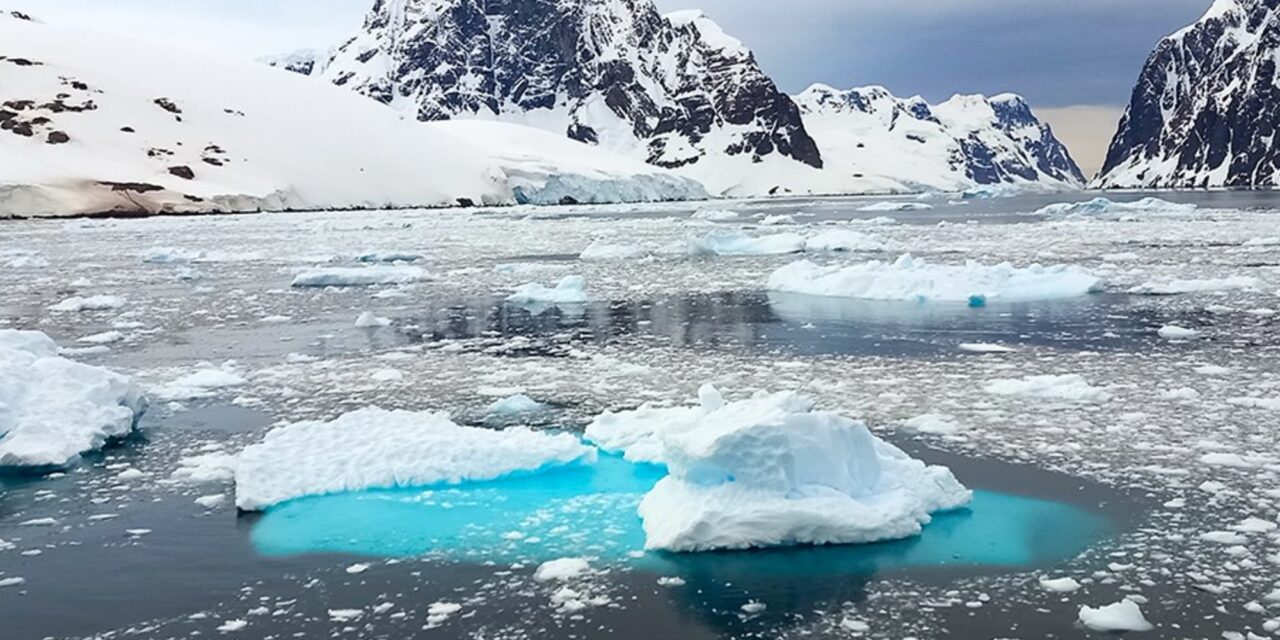 Descubren una especie ancestral que sobrevivió en glaciares y apareció en la Antártida