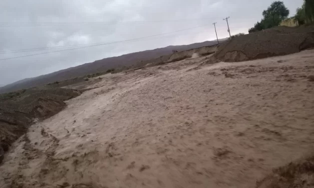 Sebastián Carbajal: “Estamos trabajando para asistir a las familias afectadas”