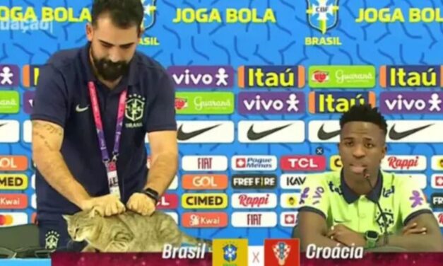 Cuál es la supuesta «maldición del gato» por la que Brasil atraviesa esta mala racha