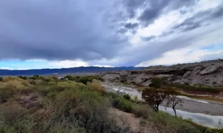 Rescate en la Zona del Salado: Una Tragedia en la Montaña