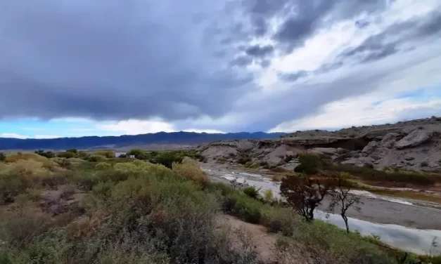 Rescate en la Zona del Salado: Una Tragedia en la Montaña