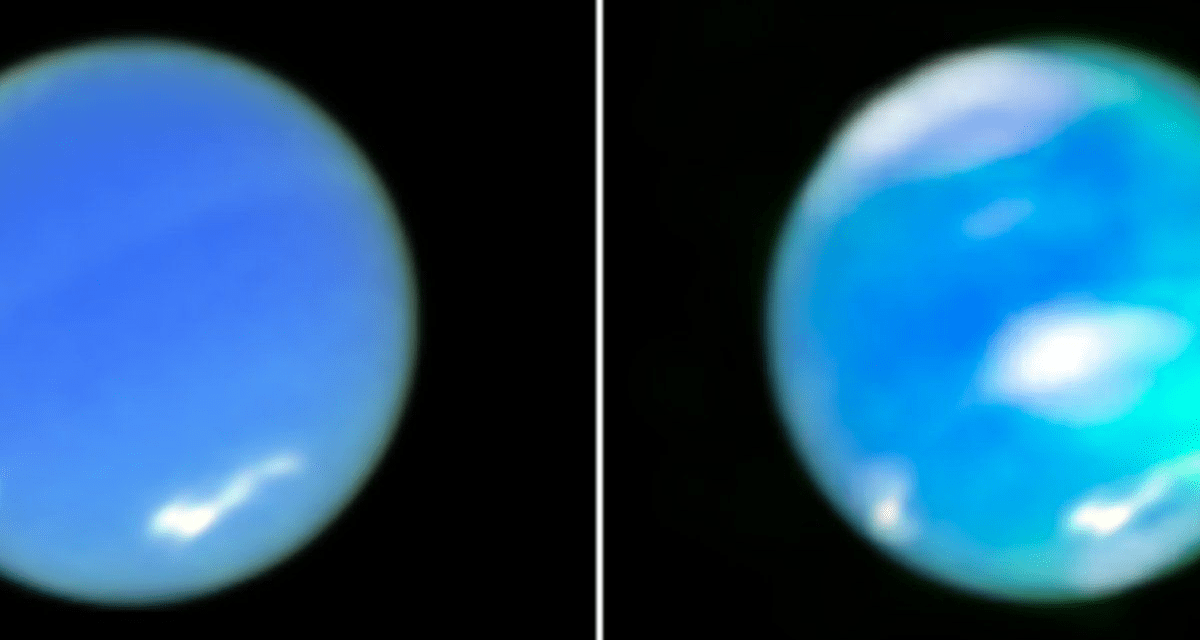 El Telescopio Espacial James Webb de la NASA consiguió imágenes de Neptuno