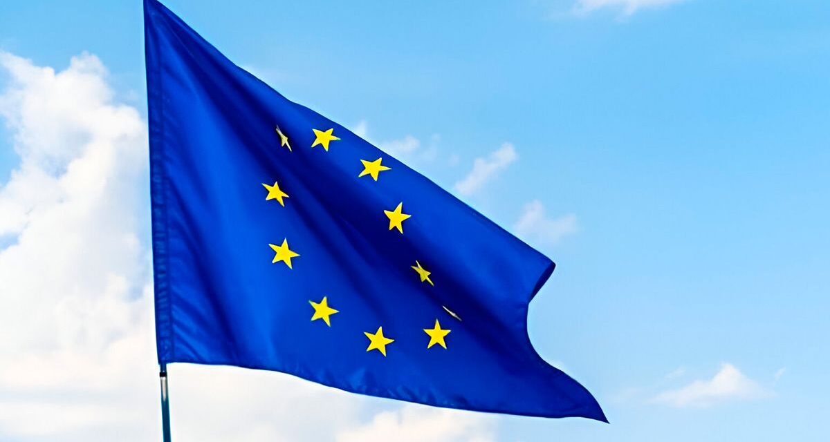 Shein, bajo investigación de la Unión Europea por venta de muñecas sexuales de apariencia infantil