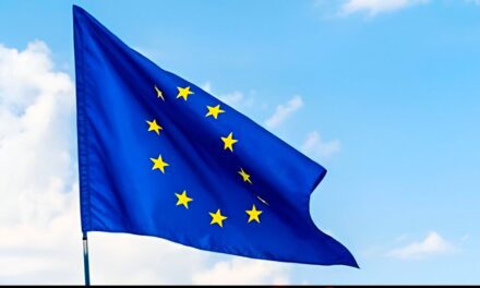Shein, bajo investigación de la Unión Europea por venta de muñecas sexuales de apariencia infantil