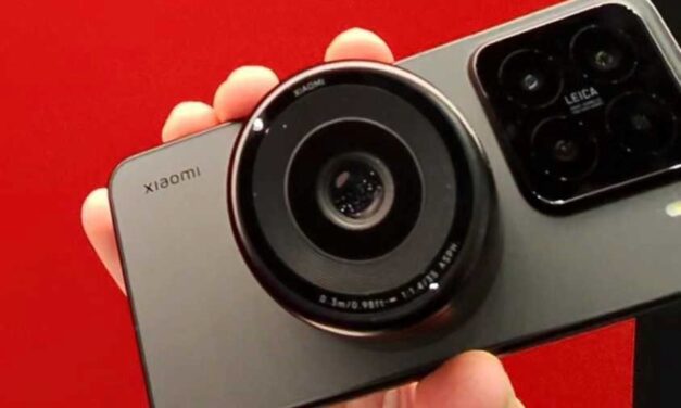 Cuál se quedó con el premio al «mejor del año»