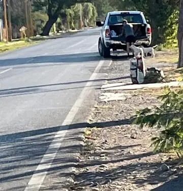 Indignación en Santa Lucía: Un vecino registró a un hombre abandonando dos perros en plena calle