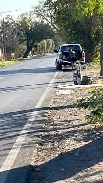 Indignación en Santa Lucía: Un vecino registró a un hombre abandonando dos perros en plena calle