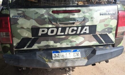 Chimbas: Rescatan 17 aves autóctonas y detienen a un hombre por caza ilegal