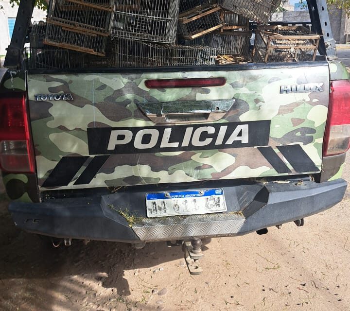 Chimbas: Rescatan 17 aves autóctonas y detienen a un hombre por caza ilegal