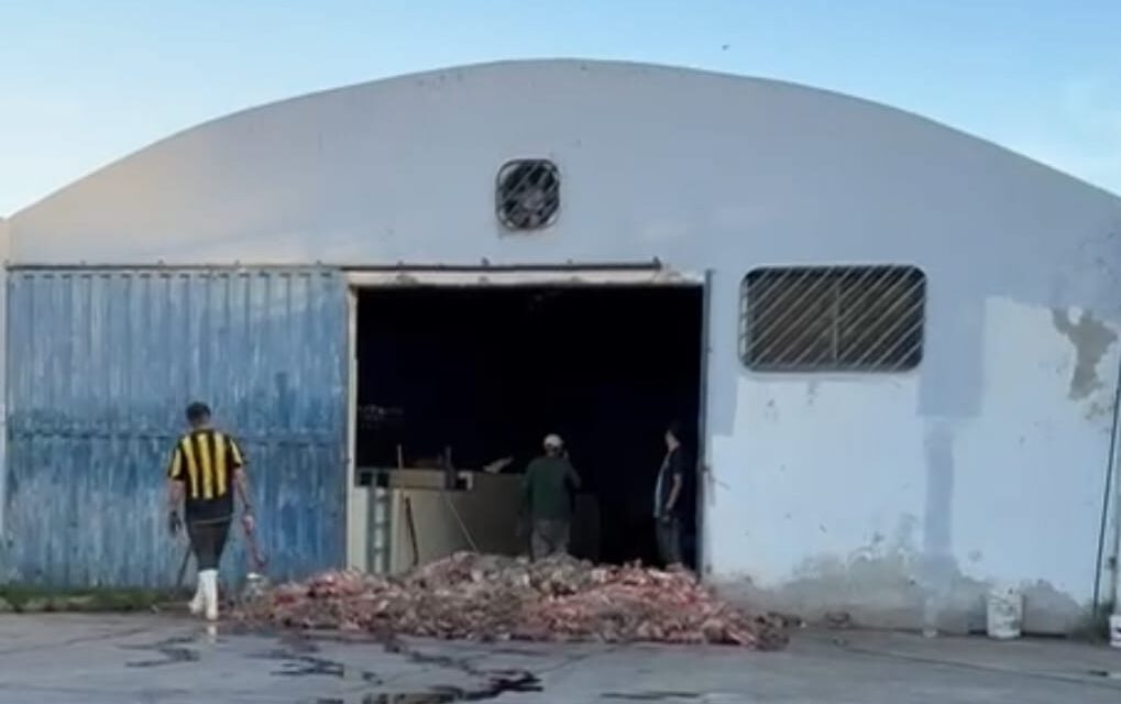 Vecinos del barrio UPCN Capital denuncian olores nauseabundos en una planta cercana