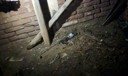 Atentado contra la sala de emergencias de la ONG «Pitbull en Peligro»: Una molotov provocó un incendio y murió calcinado un perrito rescatado