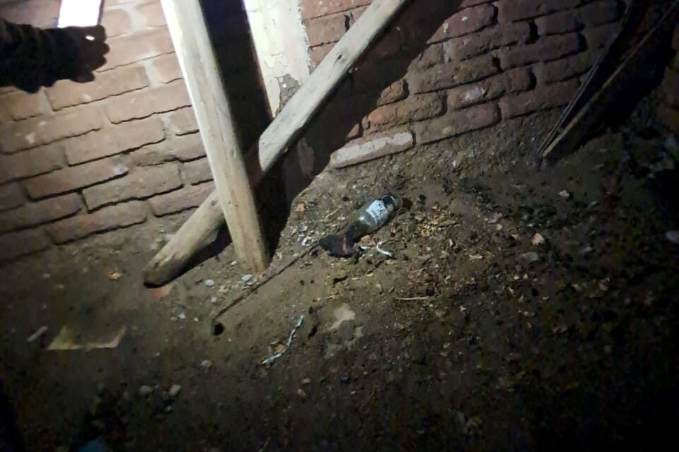 Atentado contra la sala de emergencias de la ONG «Pitbull en Peligro»: Una molotov provocó un incendio y murió calcinado un perrito rescatado