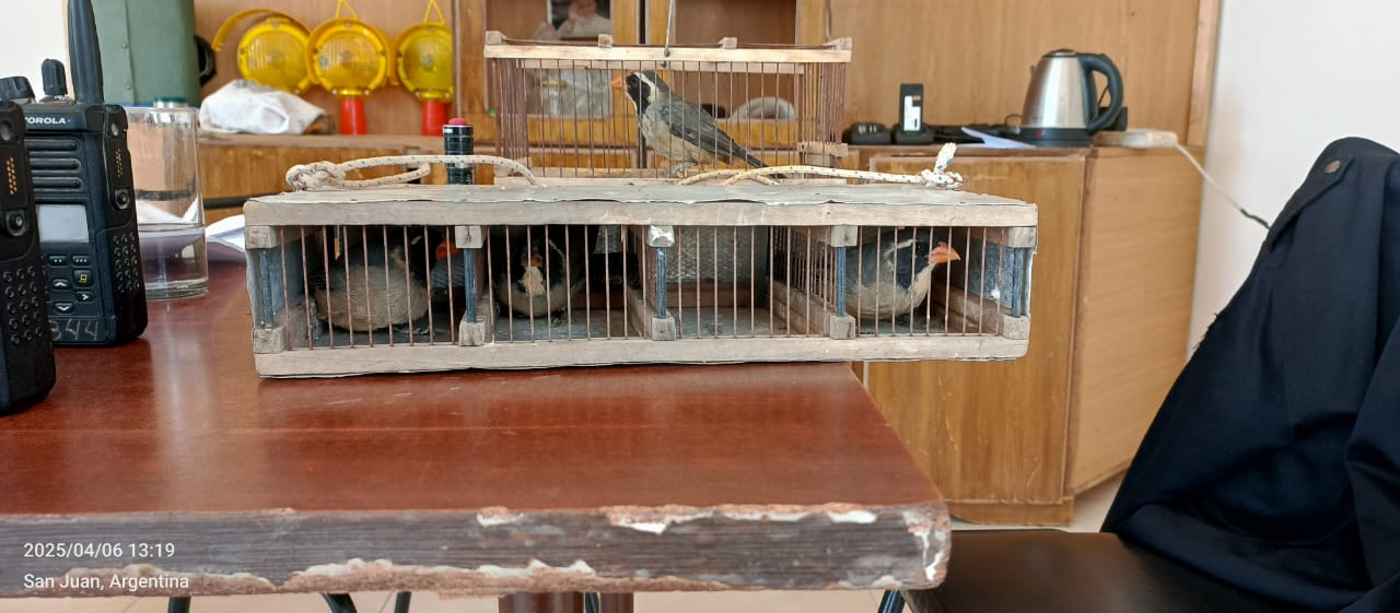 Operativos rurales en San Juan: Detienen a personas por caza ilegal y maltrato anima