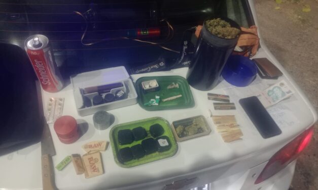 ¡Cayeron con todo! Una pareja fue detenida con marihuana, aceites, cremas y hasta semillas en pleno sur de Capital
