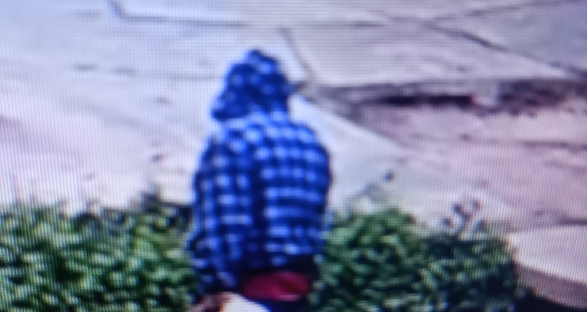 Continúa la intensa búsqueda de Noel Luis Ponce en Pocito: Piden colaboración a la comunidad